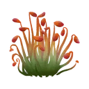 Spice Sprouts - Palia Gatherable - Palia Database
