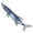 Barracuda